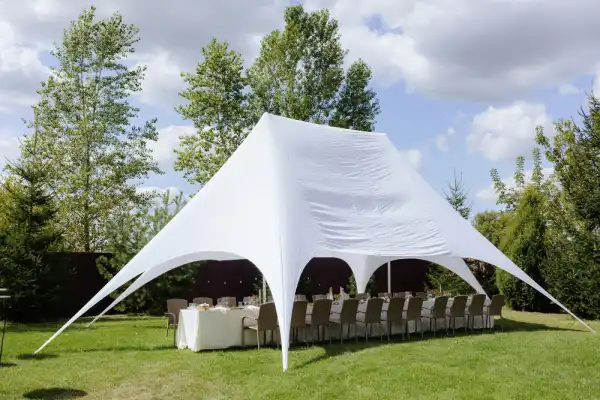 Clear Roof, Black Frame Pavilion - wide view